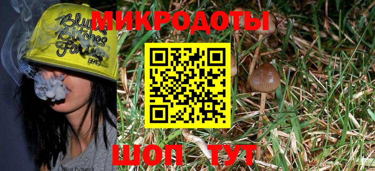 Псилоцибиновые грибы Psilocybe  Вход с VPN  Зеленогорск  Псилоцибиновые грибы Magic Shrooms 
