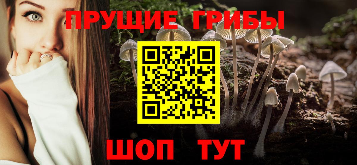 Псилоцибиновые грибы ЛСД Зеленогорск